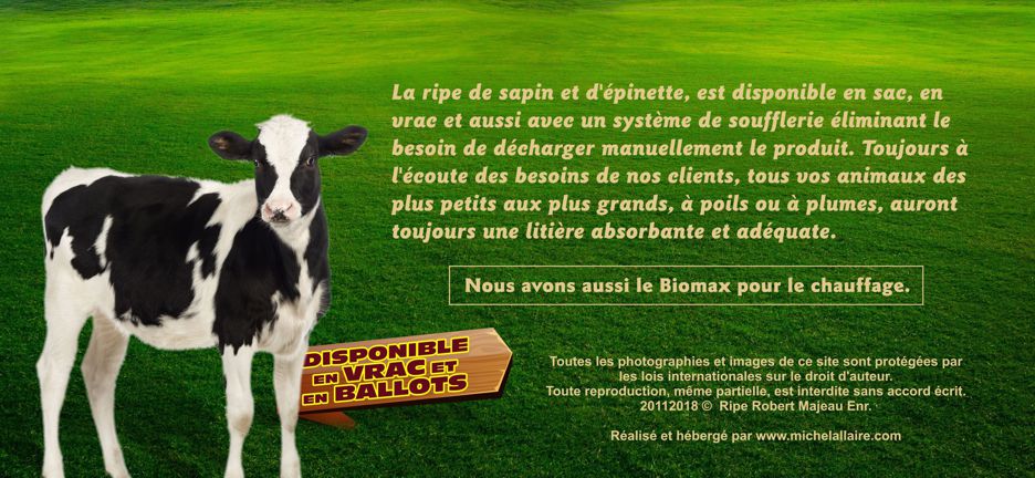 Ripe Robert Majeau Granules St-Norbert Michel Allaire Pub en t�te