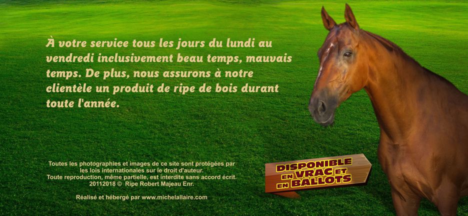 Ripe Robert Majeau Granules St-Norbert Michel Allaire Pub en t�te