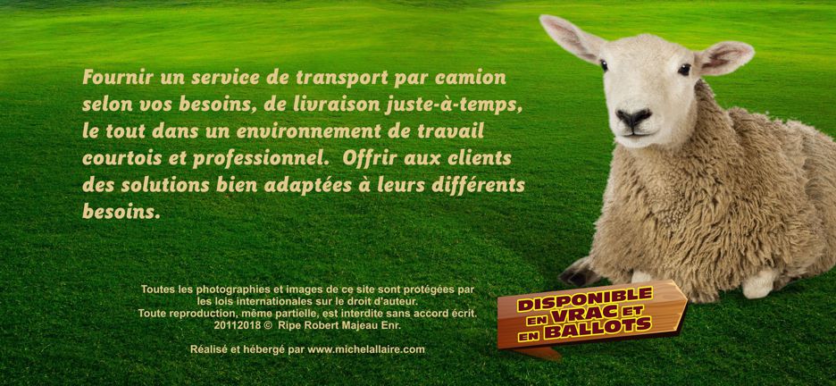 Ripe Robert Majeau Granules St-Norbert Michel Allaire Pub en t�te