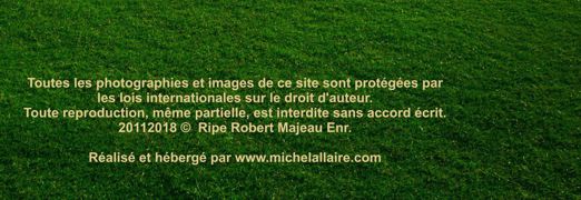 Ripe Robert Majeau Granules St-Norbert Michel Allaire Pub en t�te