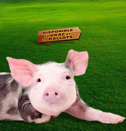 Ripe Robert Majeau St-Norbert Lanaudi�re Michel Allaire